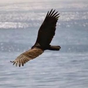 Meet your Posher, Jeff